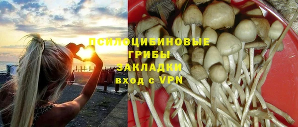 гашиш Горнозаводск