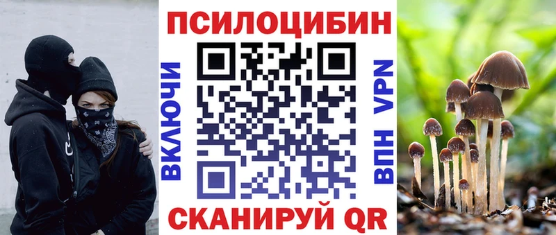 продажа наркотиков  Ершов  Галлюциногенные грибы Psilocybe 